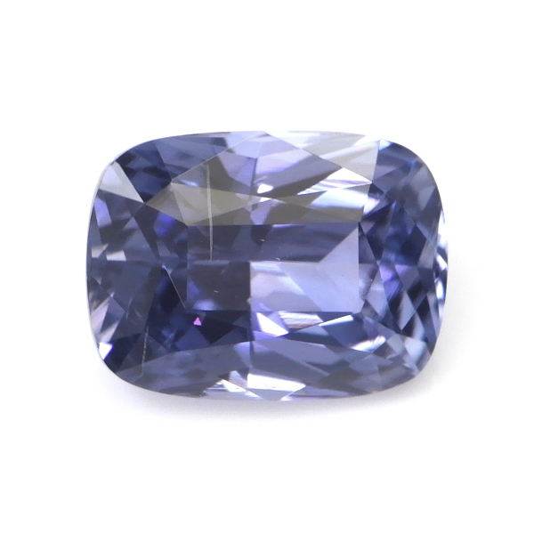 Portfolio Showcase Lighting Kit