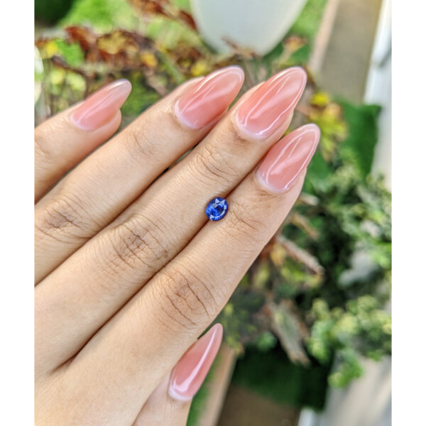 lifestyleimage-1 Blue Sapphire from Ceylon (Sri Lanka)0.86 Ct.