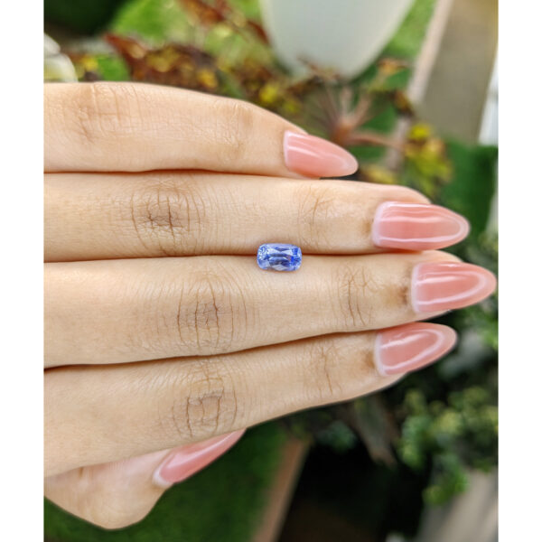 lifestyleimage-1 Blue Sapphire from Ceylon (Sri Lanka)1.27 Ct.