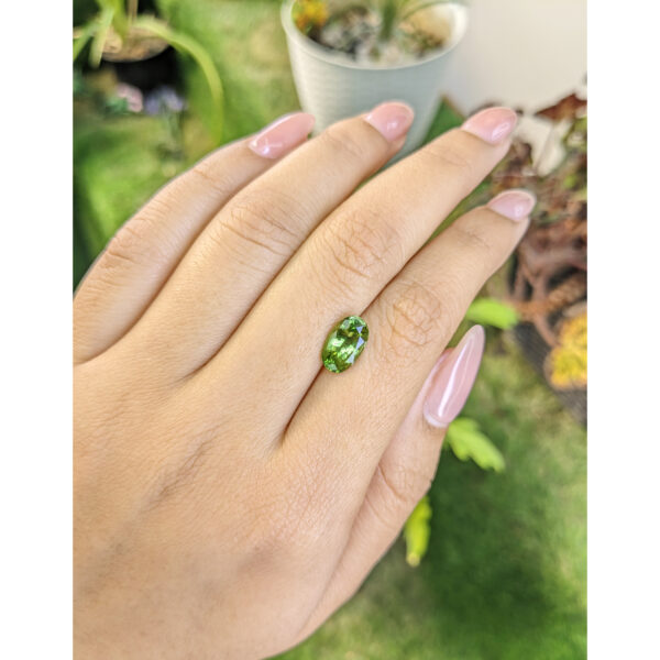 Tsavorite Garnet  Oval