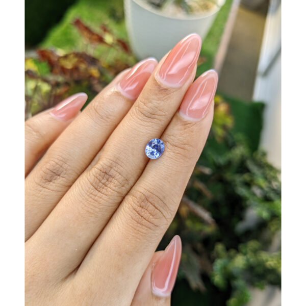 Blue Sapphire from Ceylon (Sri Lanka)1.35 Ct.