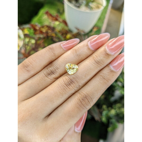 lifestyleimage-2 Yellow Sapphire from Ceylon (Sri Lanka)2.63 Ct.